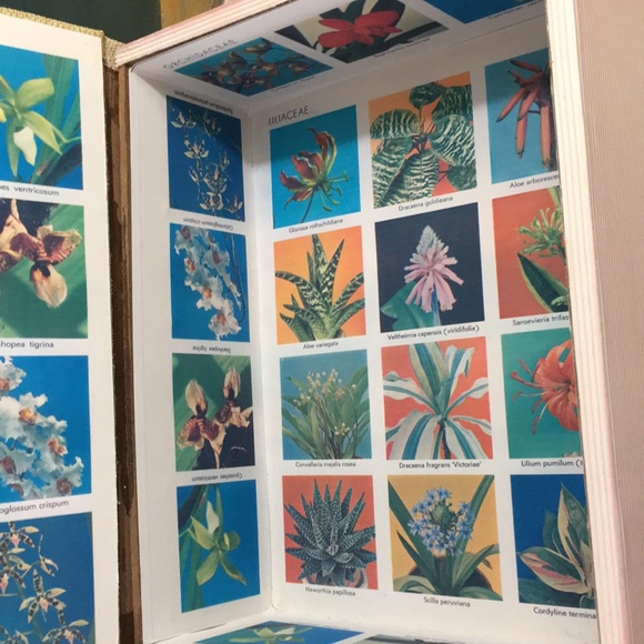 Exotic Plants Storage Book Box - Picture 8 of 8